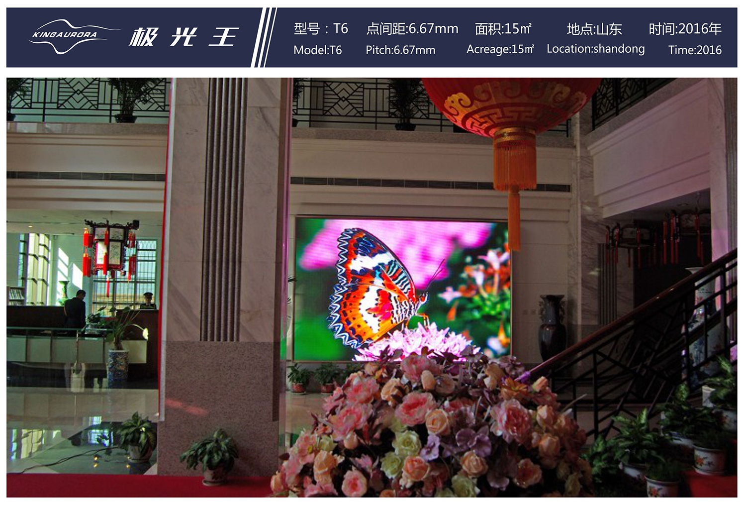 Taurus P6 at Shandong Hotel